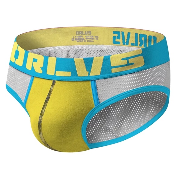 ORLVS Mesh Briefs - Picture 3 of 3